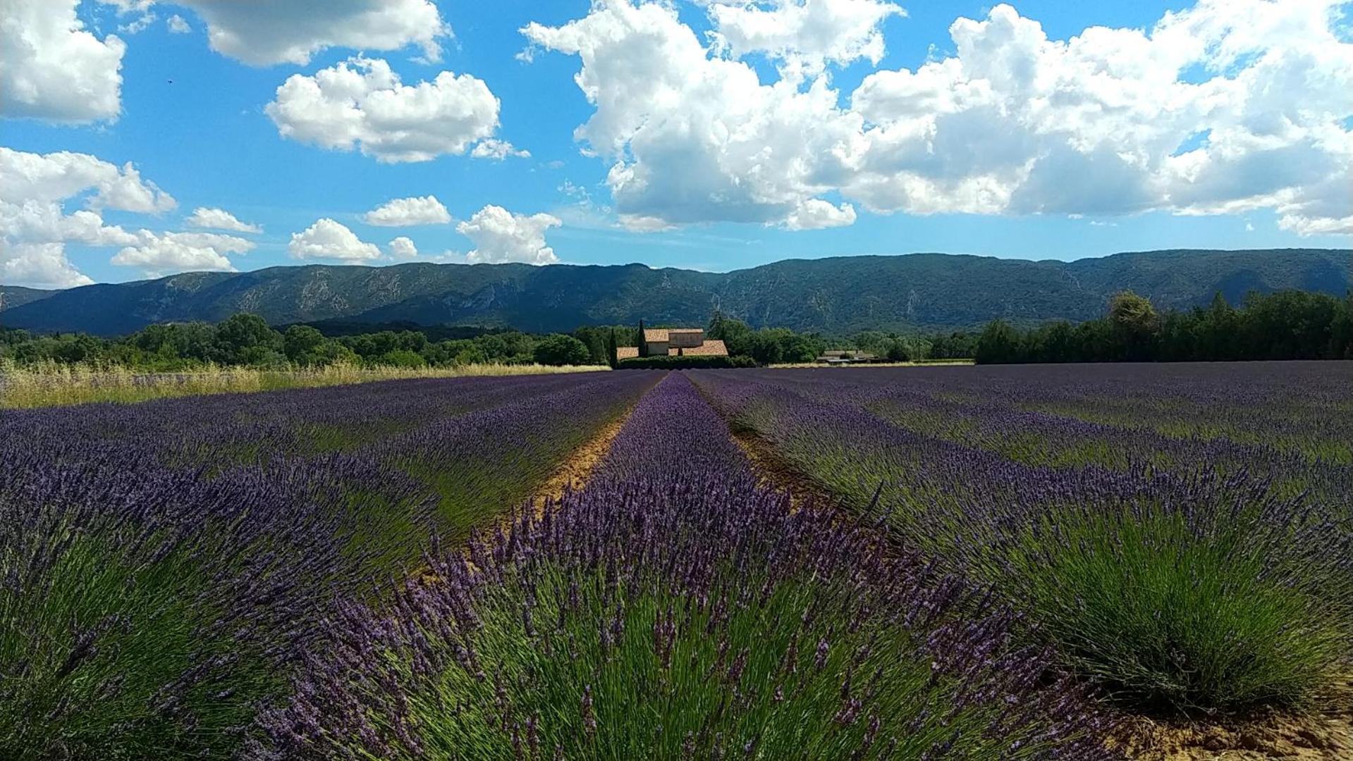 Le Mas De Roussillon Roussillon  Luaran gambar