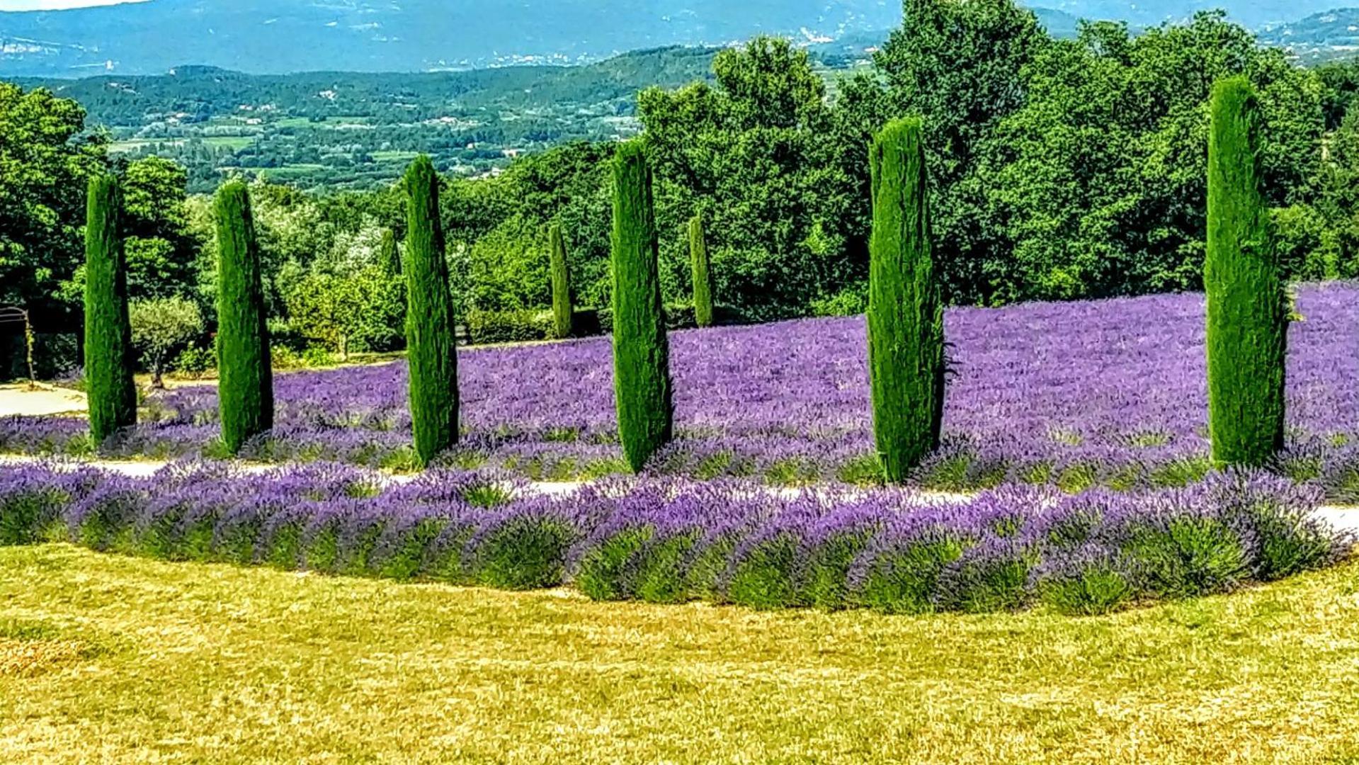 Le Mas De Roussillon Roussillon  Luaran gambar