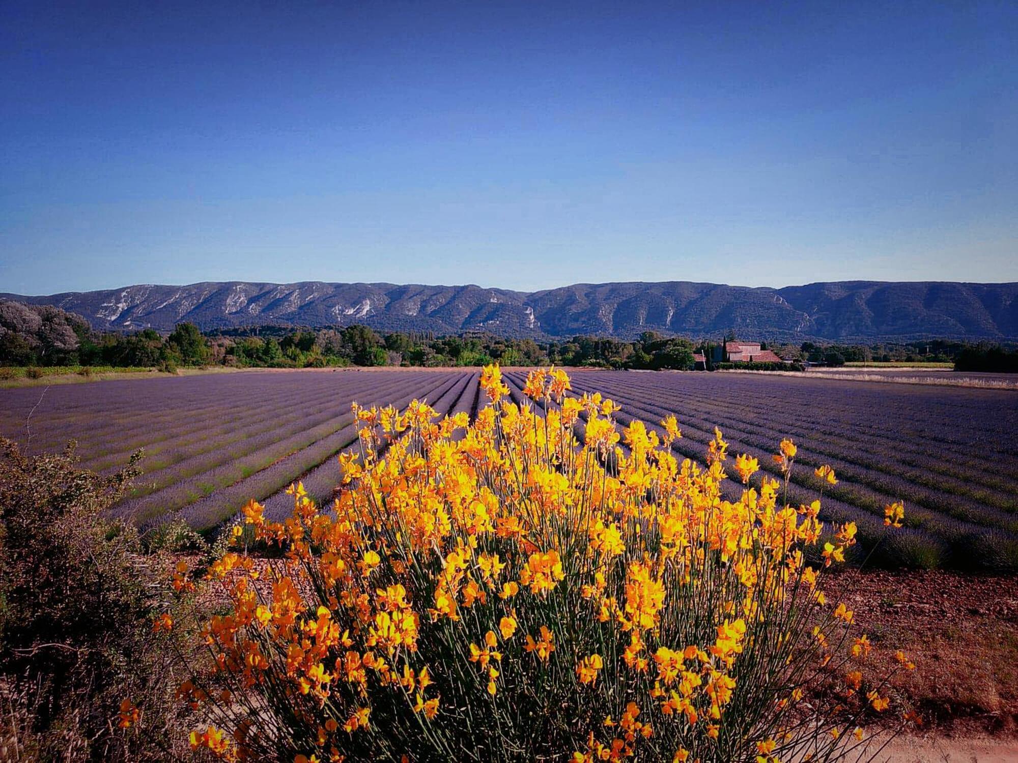 Le Mas De Roussillon Roussillon  Luaran gambar